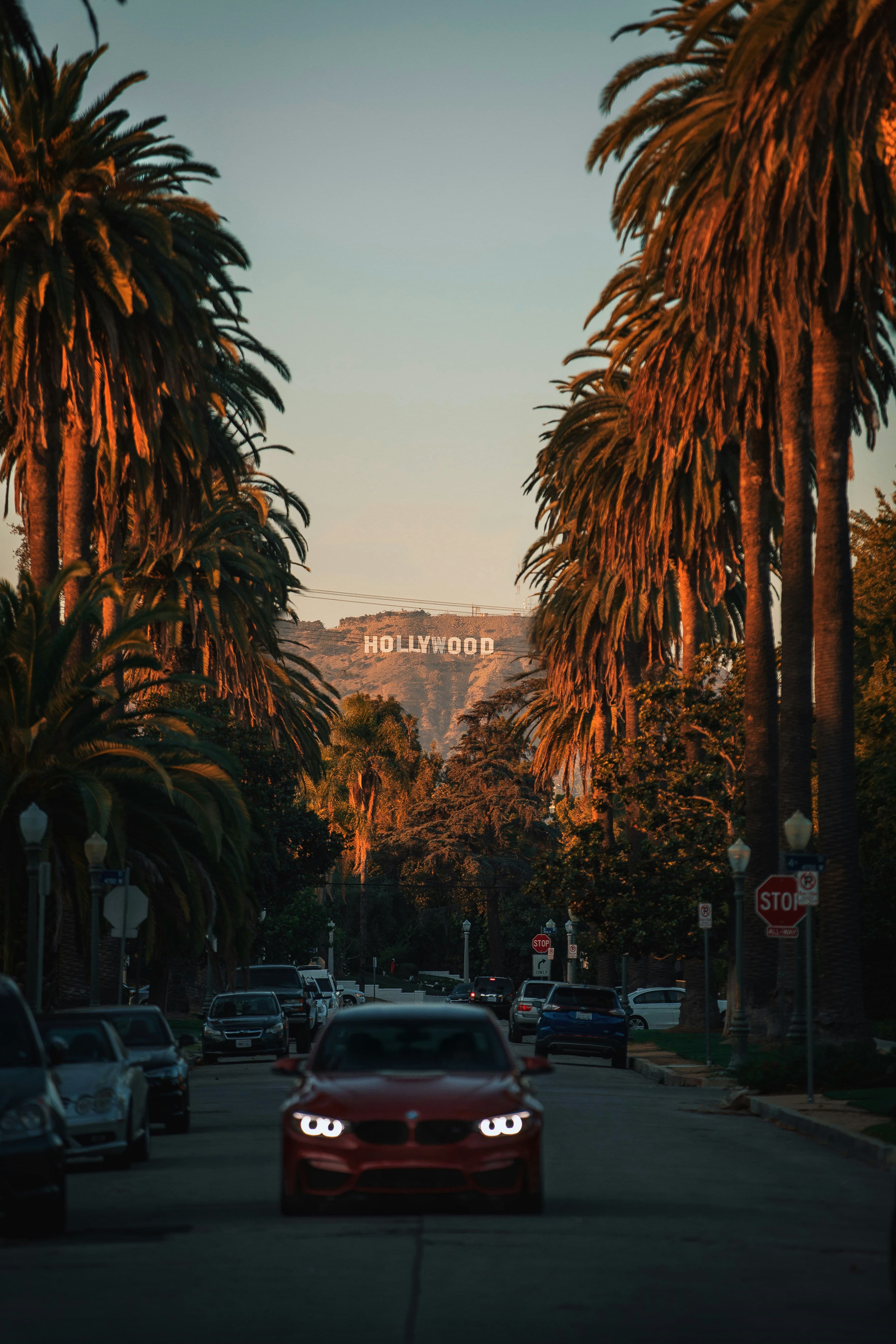 INOVIT — Los Angeles, CA