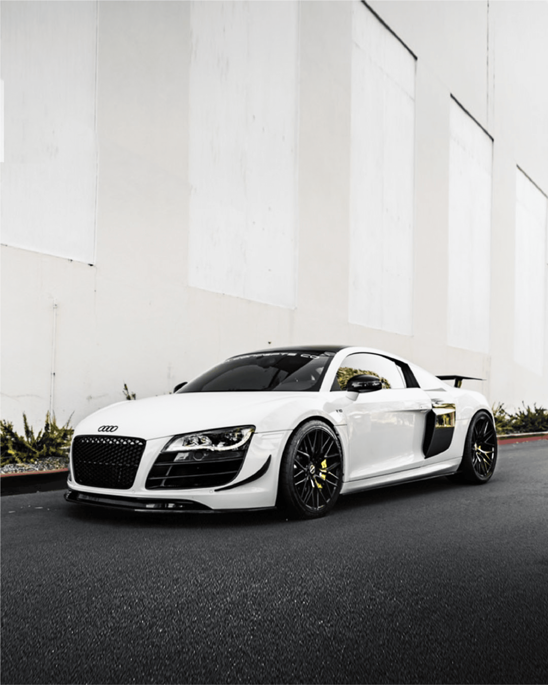 BLITZ on AUDI 03-03